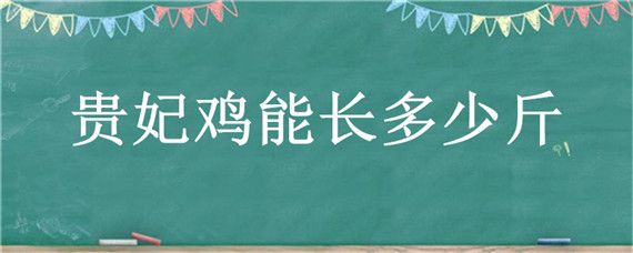 貴妃雞能長多少斤 貴妃雞一般能長多少斤