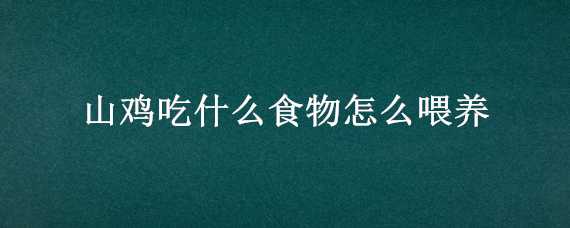 山雞吃什么食物怎么喂養(yǎng)