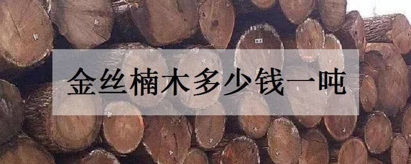 2022金絲楠木多少錢一噸，市場前景好嗎