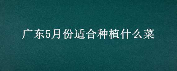 广东5月份适合种植什么菜