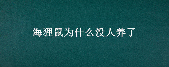 海貍鼠為什么沒人養(yǎng)了（海貍鼠有人收嗎）