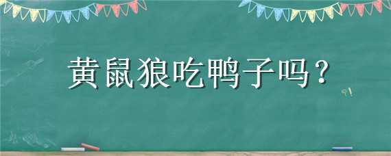 黄鼠狼吃鸭子吗 黄鼠狼吃鸭子吗视频