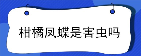 柑橘鳳蝶是害蟲嗎 桔柑鳳蝶幼蟲