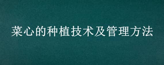 菜心的种植技术及管理方法 菜心的种植技术及管理方法视频