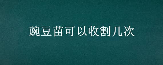 豌豆苗可以收割几次 豌豆苗土培收割多少次