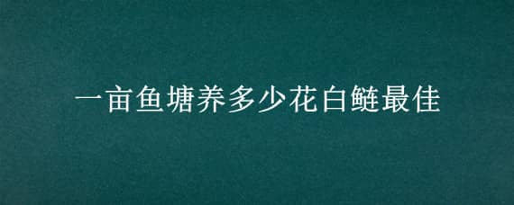 一亩鱼塘养多少花白鲢最佳 鱼塘放养白鲢和花鲢比例