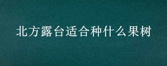 北方露台适合种什么果树（北方露台种什么果树最合适）