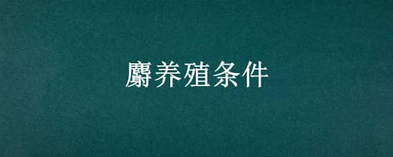 麝養(yǎng)殖條件（麝的飼養(yǎng)管理）