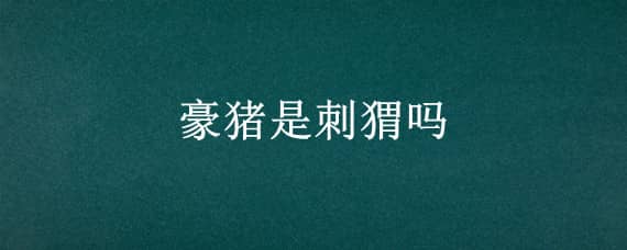 豪豬是刺猬嗎 豪豬和刺猬有啥區(qū)別