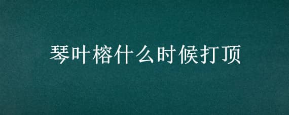 琴葉榕什么時候打頂（琴葉榕打頂）