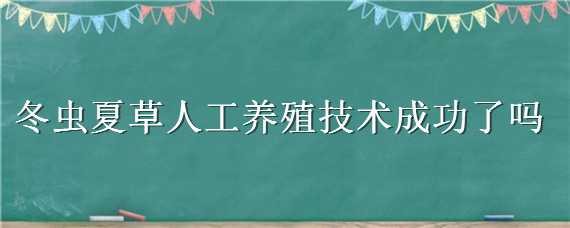 冬蟲夏草人工養(yǎng)殖技術(shù)成功了嗎（冬蟲夏草人工養(yǎng)殖技術(shù)成功了嗎視頻）