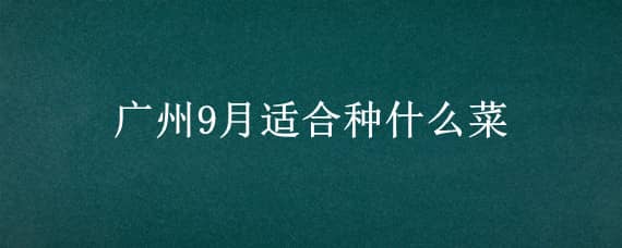 廣州9月適合種什么菜（廣州9月份適合種什么菜）