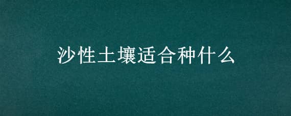 沙性土壤適合種什么 沙性土壤適合種什么水果