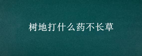 树地打什么药不长草（树地打什么除草剂不伤树）