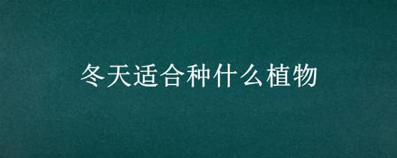 冬天適合種什么植物 冬天適合種什么植物在家里