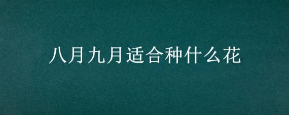 八月九月适合种什么花（八月九月适合播种什么花）