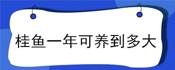 桂魚一年可養(yǎng)到多大 桂魚養(yǎng)到7至8斤需要多少年