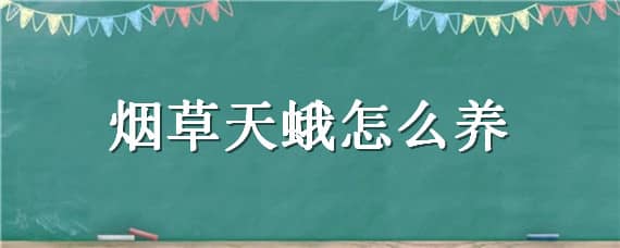 烟草天蛾怎么养 烟草天蛾为什么是害虫