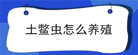 土鱉蟲怎么養(yǎng)殖 土鱉蟲怎么養(yǎng)殖方法