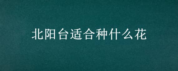 北陽臺適合種什么花 北陽臺適合種什么花旺家運