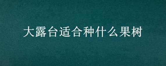 大露臺適合種什么果樹（大露臺適合種什么果樹和花）