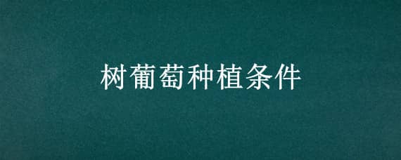 樹葡萄種植條件 樹葡萄生長條件