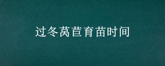 過冬萵苣育苗時間（萵苣幾月份育苗）