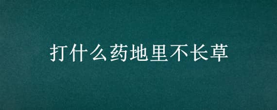 打什么藥地里不長草 讓地上不長草用什么農(nóng)藥