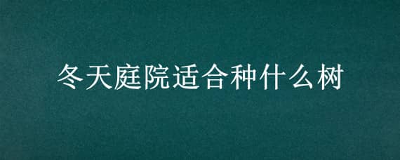 冬天庭院适合种什么树 冬天庭院适合种什么植物