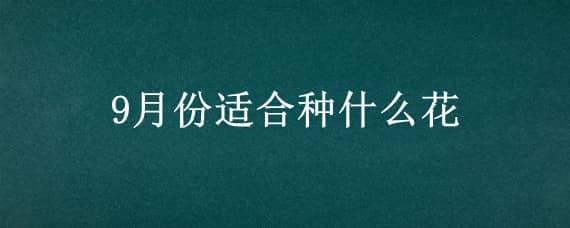 9月份适合种什么花 九月份适合种什么花