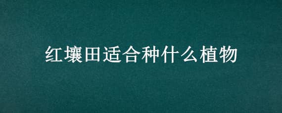 红壤田适合种什么植物 红土适合种植吗