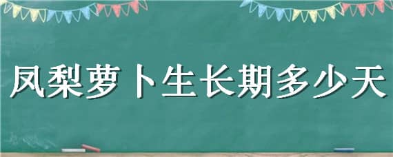 鳳梨蘿卜生長期多少天（鳳梨蘿卜能長多大）