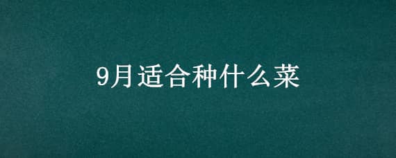 9月适合种什么菜 8.9月适合种什么菜