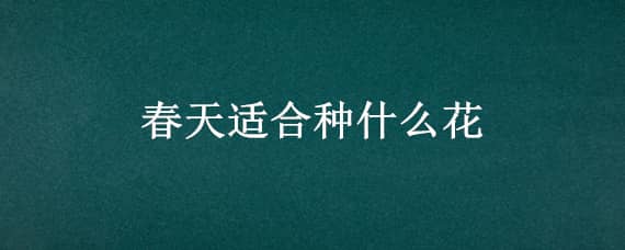 春天适合种什么花 春天适合种什么花苗