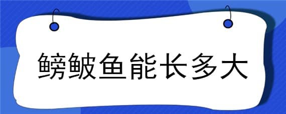 鳑鲏魚能長多大 鮟鱇魚能長多大