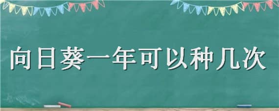 向日葵一年可以种几次 向日葵一年可以种几次种子