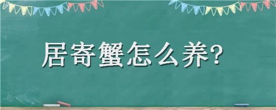 居寄蟹怎么养?（居寄蟹怎么养说说）