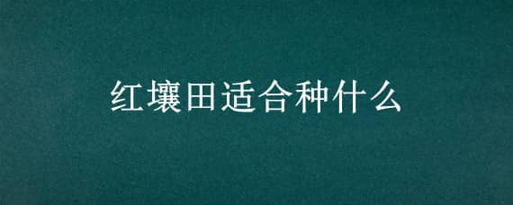 紅壤田適合種什么（紅壤田適合種什么植物）