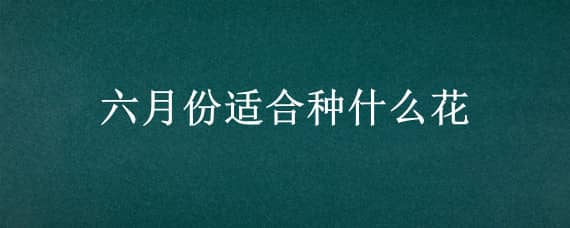 六月份适合种什么花 六月份适合种什么花和草