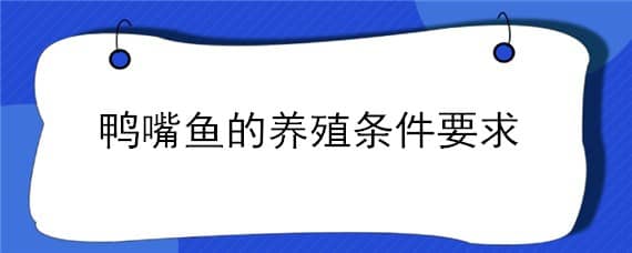 鸭嘴鱼的养殖条件要求（鸭嘴鱼适应哪个地方养）