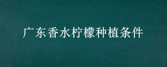 廣東香水檸檬種植條件（廣東香水檸檬種植條件和時間）