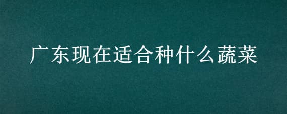 廣東現(xiàn)在適合種什么蔬菜 廣東現(xiàn)在適合種什么蔬菜和水果