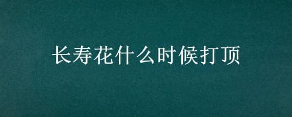 長(zhǎng)壽花什么時(shí)候打頂