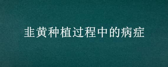 韭黄种植过程中的病症（韭黄种植过程中的病症是什么）