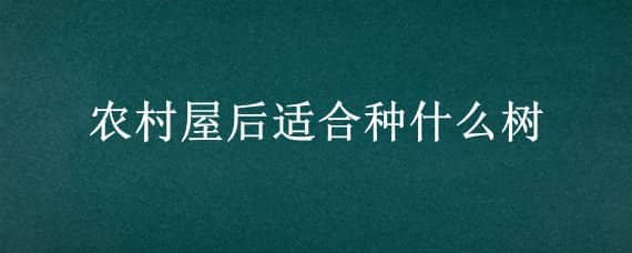 農(nóng)村屋后適合種什么樹(shù)（農(nóng)村屋前適合種什么樹(shù)）