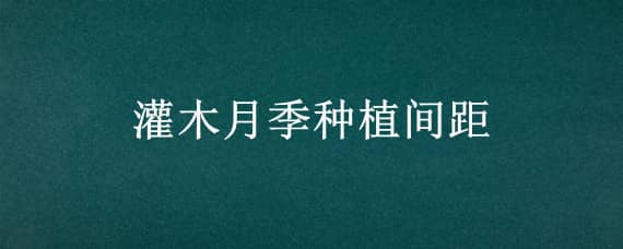 灌木月季種植間距（灌木月季種植間距多少合適）