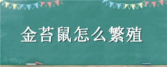 金苔鼠怎么繁殖 金苔鼠怎么繁殖视频