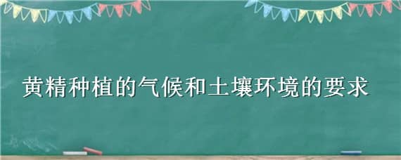 黄精种植的气候和土壤环境的要求（黄精种植的土壤要求和阳光要求）