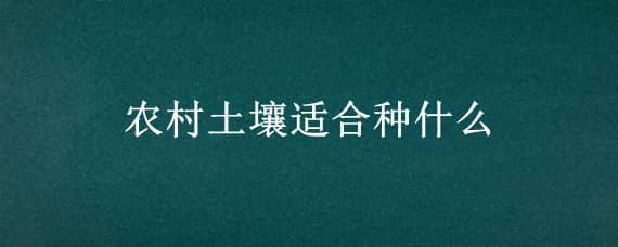 农村土壤适合种什么（农村土壤适合种什么树）