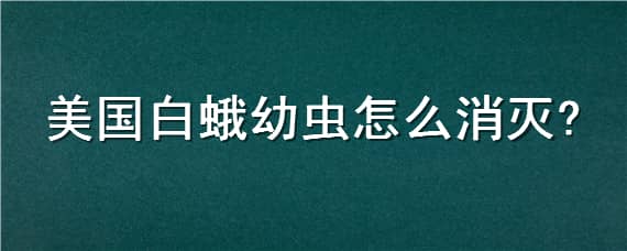 美國白蛾幼蟲怎么消滅（美國白蛾幼蟲用什么藥消滅）